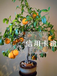 信用卡逾期半年 被冻结 信用卡逾期半年 被冻结